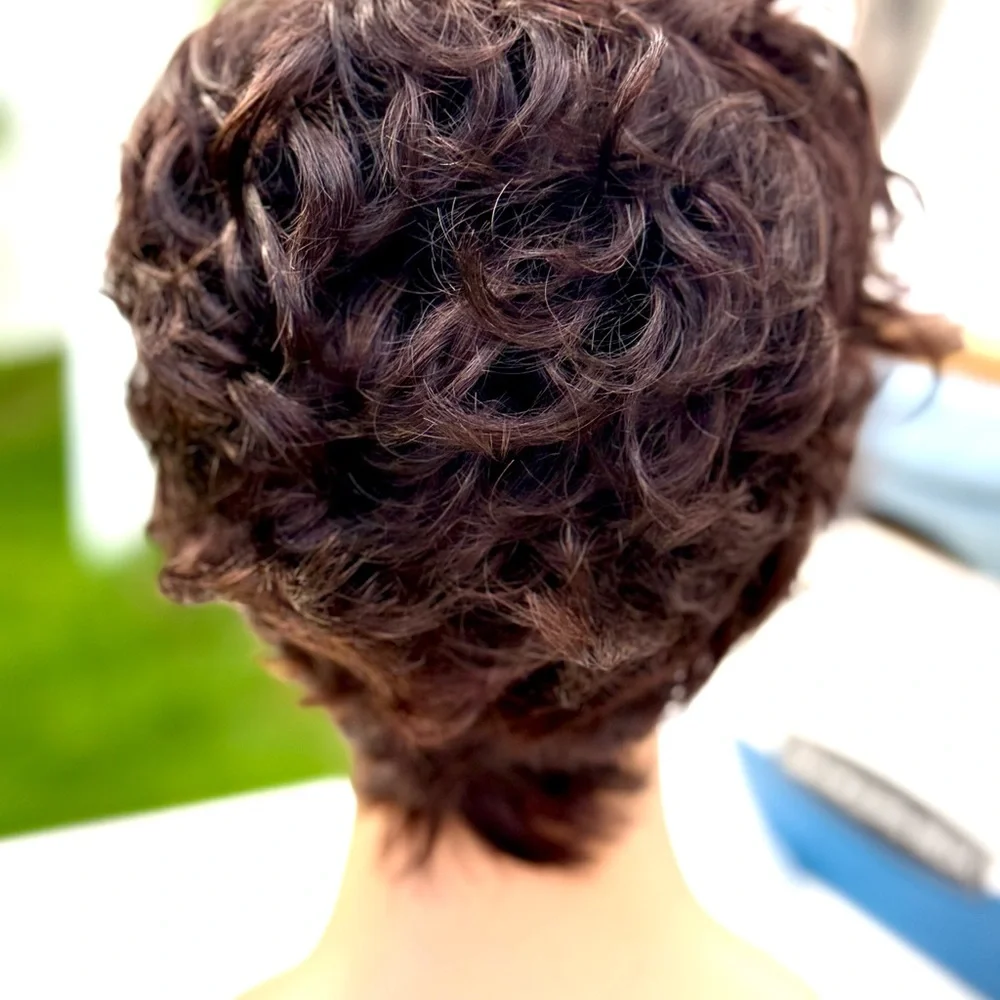 Short Curly Pixie Wig in Dark Brown - Women Hair - Picture 7 of 15
